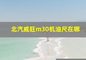 北汽威旺m30机油尺在哪