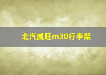 北汽威旺m30行李架