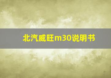 北汽威旺m30说明书