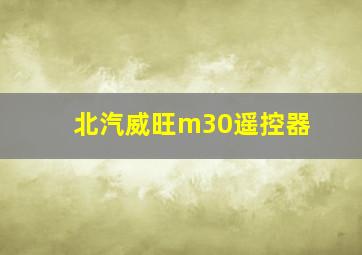 北汽威旺m30遥控器