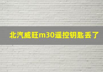 北汽威旺m30遥控钥匙丢了