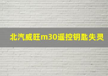 北汽威旺m30遥控钥匙失灵