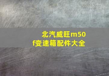 北汽威旺m50f变速箱配件大全