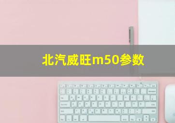 北汽威旺m50参数