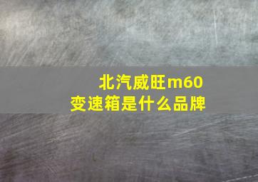 北汽威旺m60变速箱是什么品牌