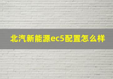 北汽新能源ec5配置怎么样