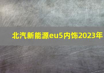 北汽新能源eu5内饰2023年