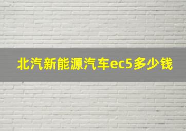 北汽新能源汽车ec5多少钱