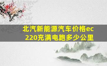 北汽新能源汽车价格ec220充满电跑多少公里