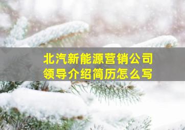 北汽新能源营销公司领导介绍简历怎么写