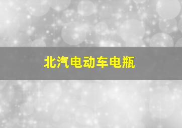 北汽电动车电瓶