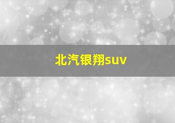 北汽银翔suv