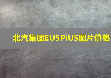 北汽集团EU5PiUS图片价格