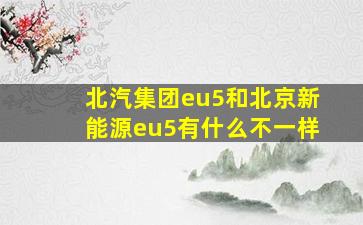 北汽集团eu5和北京新能源eu5有什么不一样