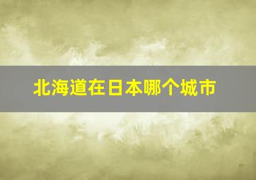 北海道在日本哪个城市