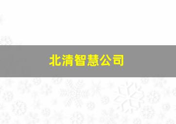 北清智慧公司