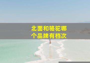 北面和骆驼哪个品牌有档次