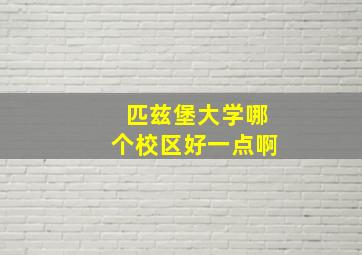 匹兹堡大学哪个校区好一点啊