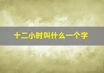 十二小时叫什么一个字