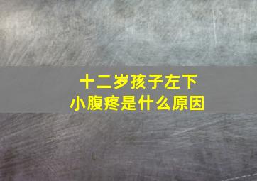 十二岁孩子左下小腹疼是什么原因