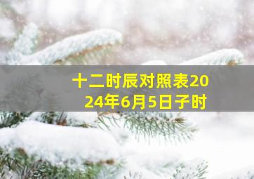 十二时辰对照表2024年6月5日子时