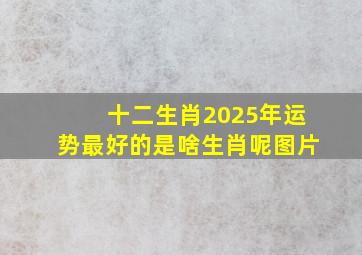 十二生肖2025年运势最好的是啥生肖呢图片