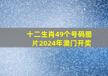 十二生肖49个号码图片2024年澳门开奖