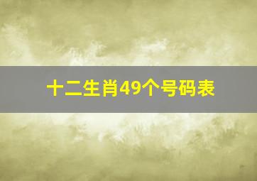 十二生肖49个号码表