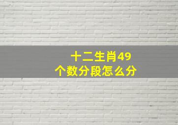 十二生肖49个数分段怎么分