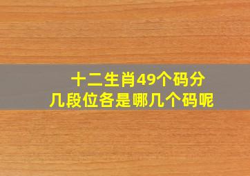 十二生肖49个码分几段位各是哪几个码呢