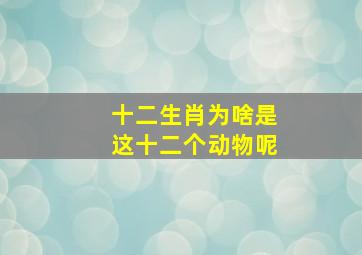 十二生肖为啥是这十二个动物呢