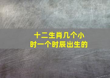 十二生肖几个小时一个时辰出生的