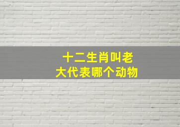 十二生肖叫老大代表哪个动物