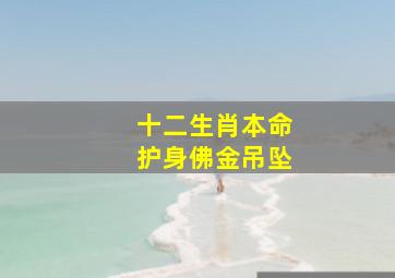 十二生肖本命护身佛金吊坠