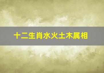 十二生肖水火土木属相