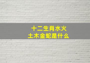 十二生肖水火土木金蛇是什么