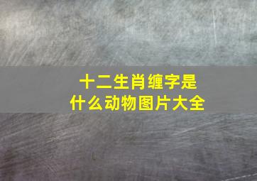 十二生肖缠字是什么动物图片大全