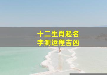 十二生肖起名字测运程吉凶