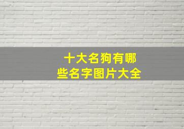 十大名狗有哪些名字图片大全