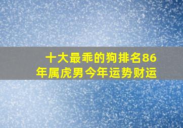 十大最乖的狗排名86年属虎男今年运势财运