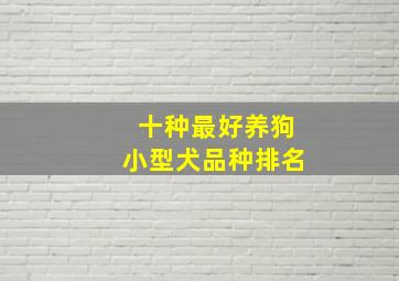 十种最好养狗小型犬品种排名