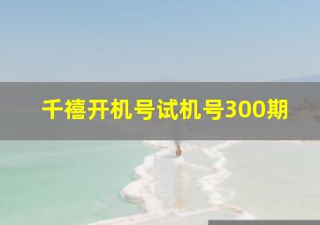 千禧开机号试机号300期