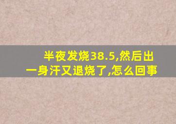 半夜发烧38.5,然后出一身汗又退烧了,怎么回事