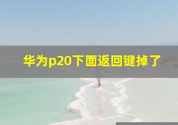 华为p20下面返回键掉了