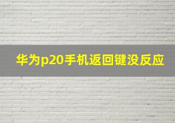 华为p20手机返回键没反应