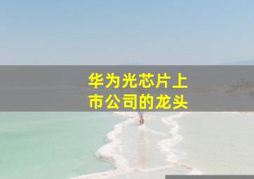 华为光芯片上市公司的龙头