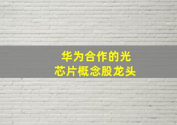 华为合作的光芯片概念股龙头