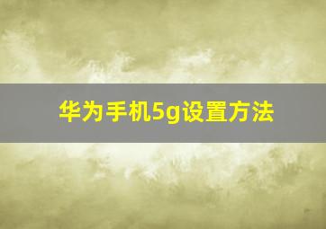 华为手机5g设置方法