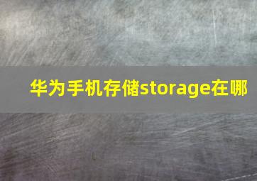 华为手机存储storage在哪