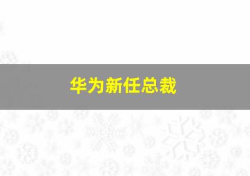 华为新任总裁